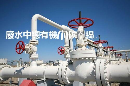 廢水中總有機(jī)碳：揭秘污染之源，挑戰(zhàn)與突破！